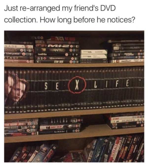 dank x files memes - Just rearranged my friend's Dvd collection. How long before he notices? VE2 Nante Xlife