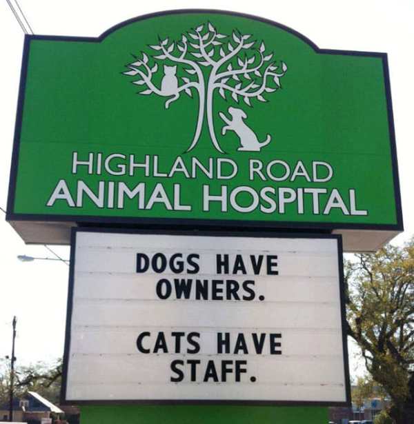 funny vet signs - Highland Road Animal Hospital Dogs Have Owners. Cats Have Staff.