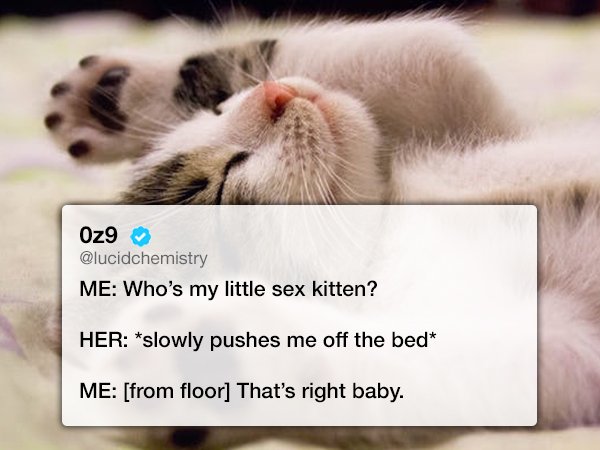 37 Memes That Prove Everyone Thinks They're a Sexpert