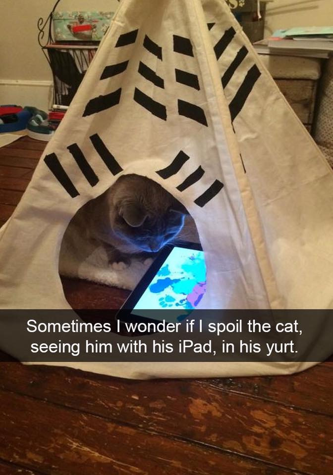 funny cat tweets - Sometimes I wonder if I spoil the cat, seeing him with his iPad, in his yurt.