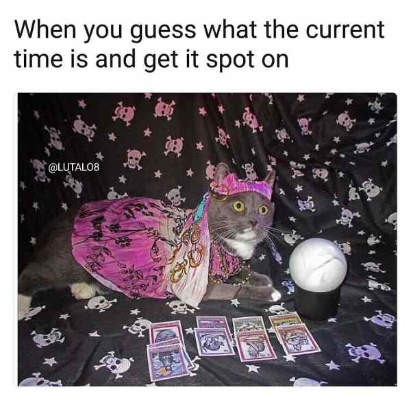 Funny cat meme about how it feels when you guess the current time correctly.