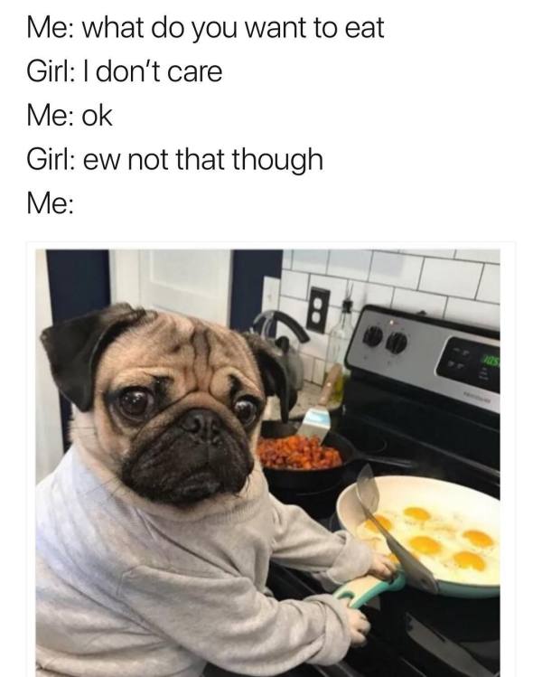 pug picky eater dog meme