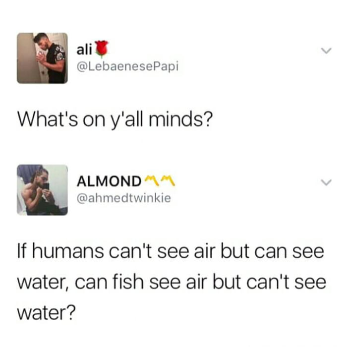 media - ali What's on y'all minds? Almond If humans can't see air but can see water, can fish see air but can't see water?