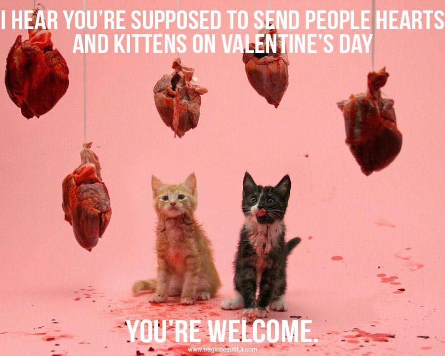 hearts and kittens - I Hear You'Re Supposed To Send People Hearts And Kittens On Valentine'S Day You'Re Welcome,