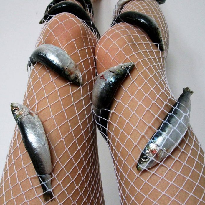 funny picture of literally fishnet stockings
