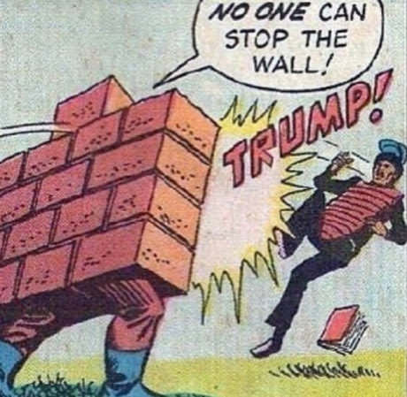 funny cartoon of trump fighting the wall