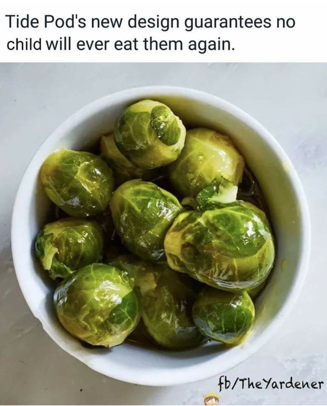 funny picture of tide pod meme joking that if they looked like brussel sprouts, kids would not eat them
