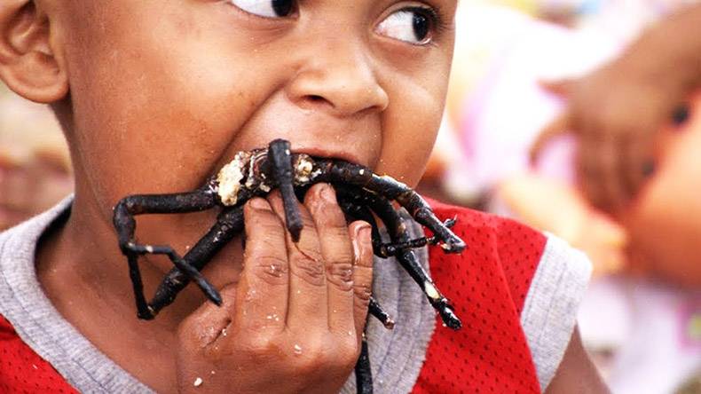 funny wtf picture of a kid eating something with a lot of legs