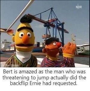 funny bert and ernie meme about man who jumped off