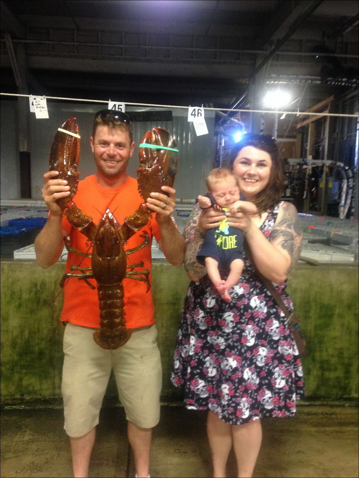 funny picture of lobster that is bigger than their baby