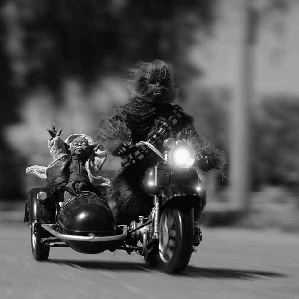 random pic yoda chewbacca motorcycle
