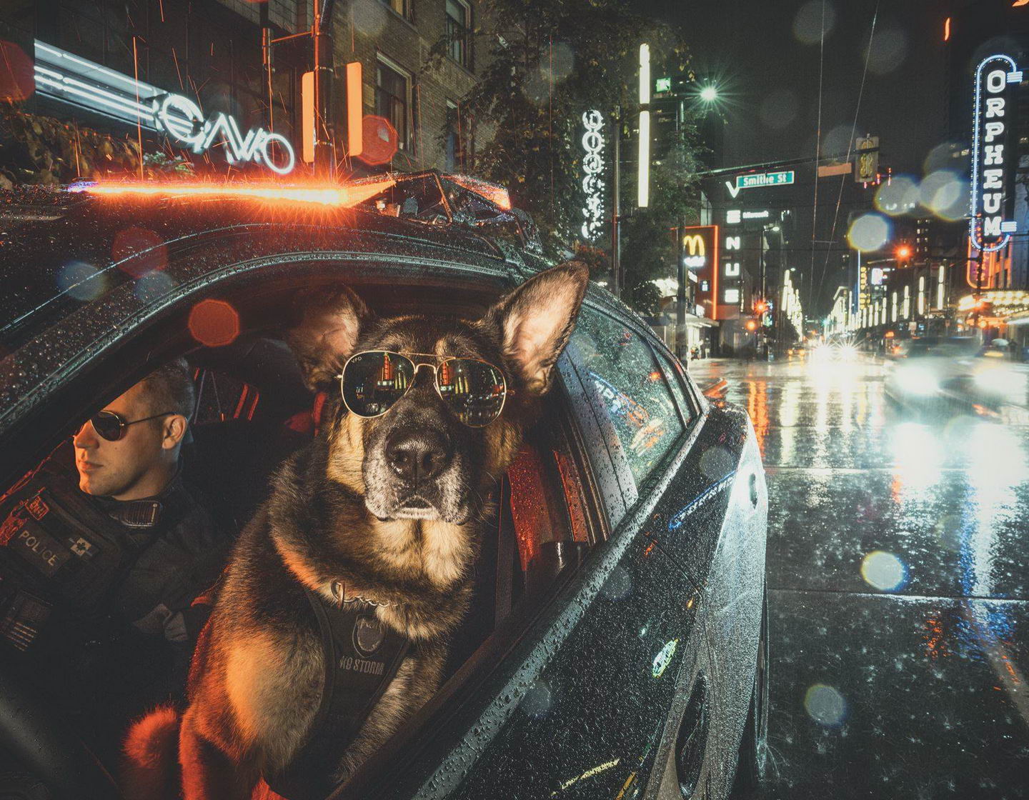 vancouver police dog calendar 2019 - Orrend Smittie si Police No Storm