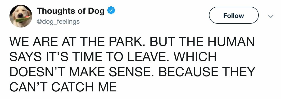 kylie jenner tweet about tyga - Thoughts of Dog We Are At The Park. But The Human Says It'S Time To Leave. Which Doesn'T Make Sense. Because They Can'T Catch Me