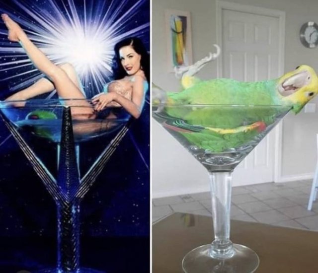 44 Radical Randoms to Help Get You Through the Day