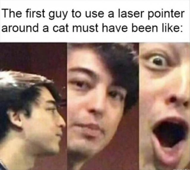 discovery dude meme - The first guy to use a laser pointer around a cat must have been