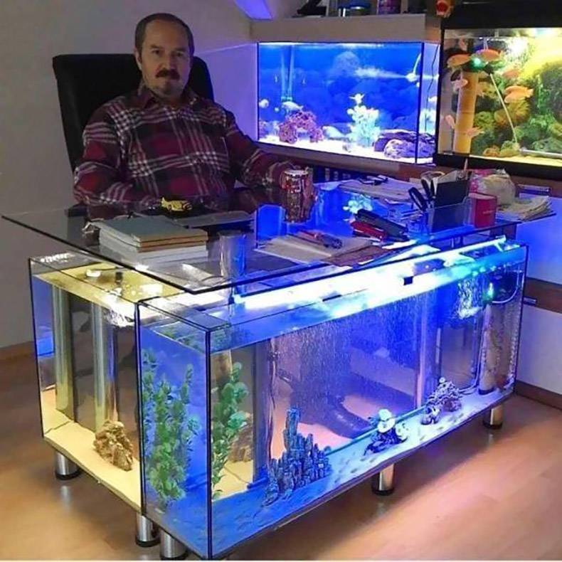 fish desk