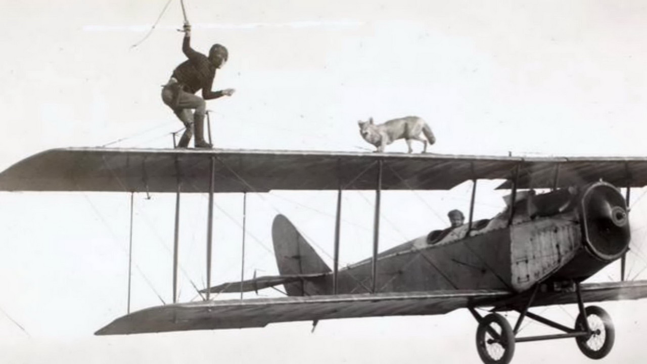 vintage stunt airplane