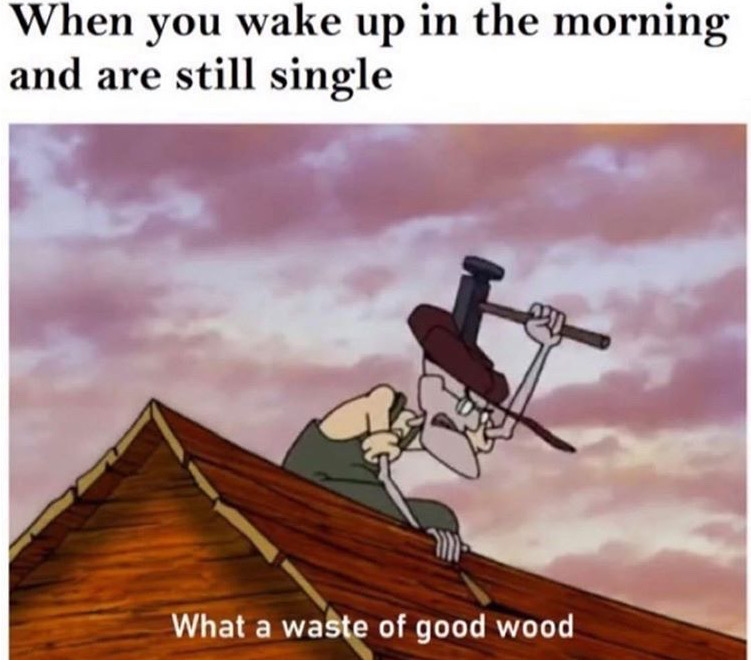 Internet meme - When you wake up in the morning and are still single What a waste of good wood