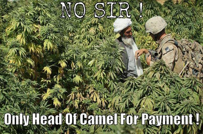 Meanwhile in Afghanistan the bartering system seems to be failing!