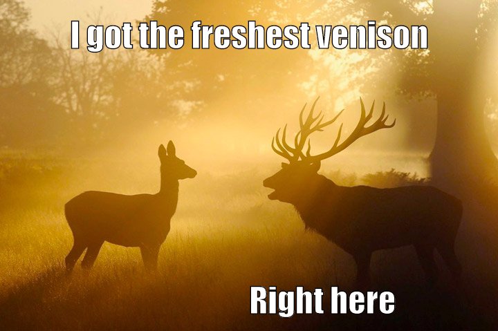Freshest Venison.