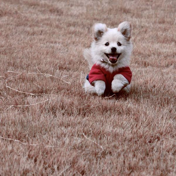 28 Of The Happiest Animals Of All Time