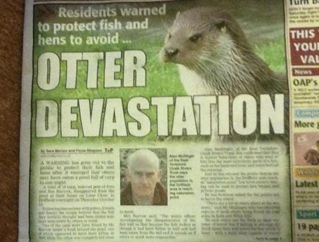 funny animal headlines - Tur Residents warned to protect fish and hens to avoid This Youi Val News Oap's Otter Devastation Com More Tap A Warning het hele til un ar that Rap Latest S he Sport