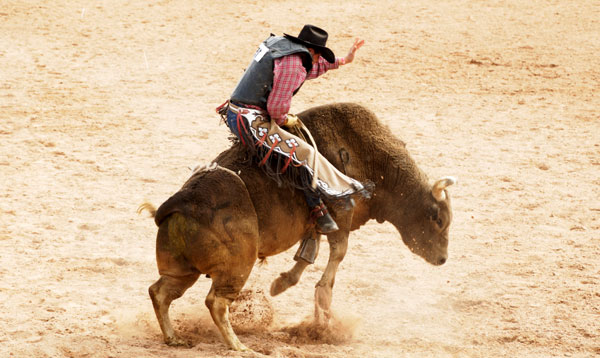 Bull Rider: $100-500k