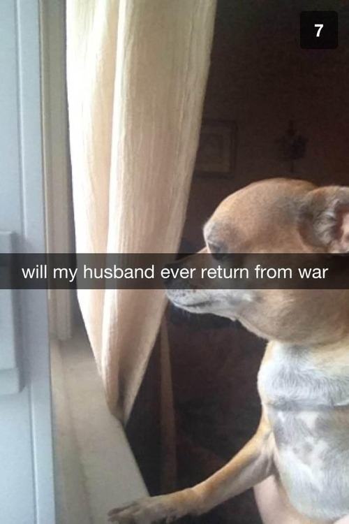 snapchat will my husband ever return from war - will my husband ever return from war