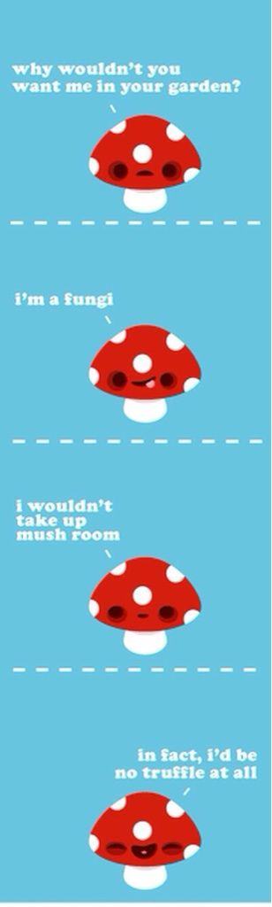 mushroom puns - why wouldn't you want me in your garden? i'm a fungi i wouldn't take up mush room in fact, i'd be no truffle at all