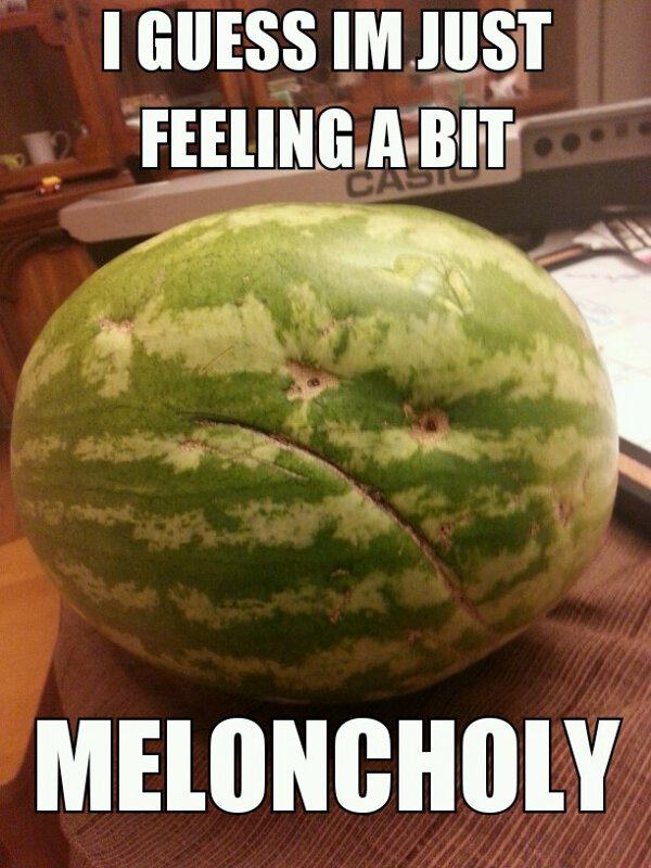 melon funny - I Guess Im Just Feeling A Bit Meloncholy