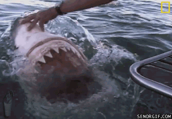 15 Photos That Will Make You Say 'NOPE!'