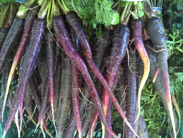 Carrots were originally purple