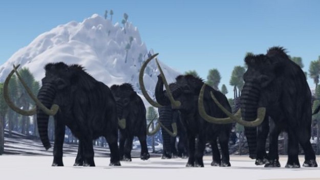 Mammoths went extinct 1,000 years after the Egyptians finished building the Great Pyramid