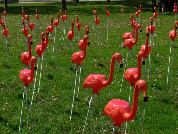 There are more fake flamingos in the world than real flamingos