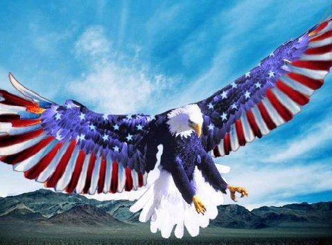 red white and blue eagle