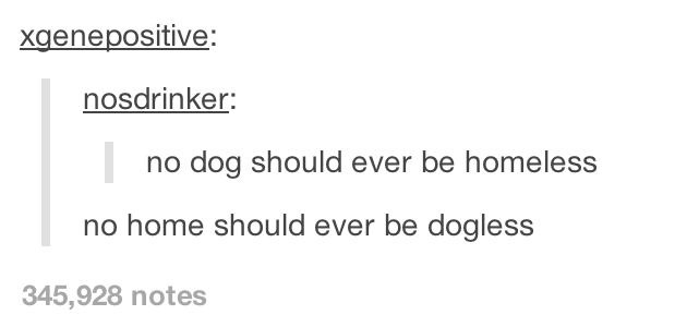tumblr - xgenepositive nosdrinker no dog should ever be homeless no home should ever be dogless 345,928 notes