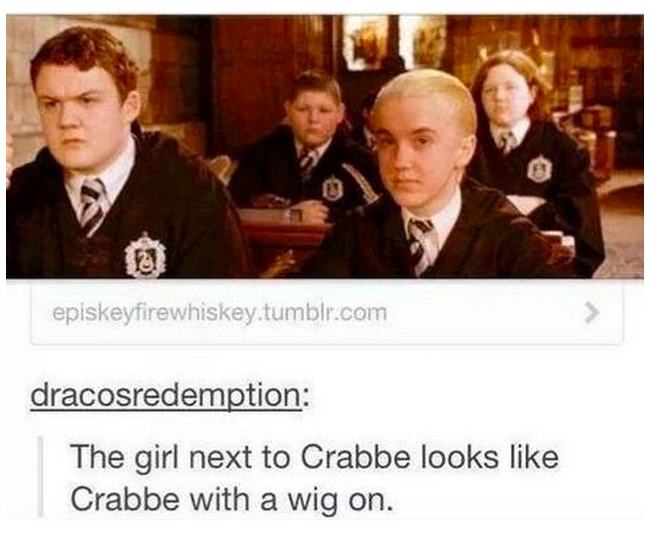 tumblr - harry potter memes - episkeyfirewhiskey.tumblr.com dracosredemption The girl next to Crabbe looks Crabbe with a wig on.