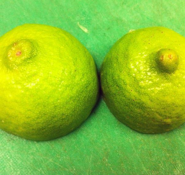 50 Things That Look Like Boobs And Penises
