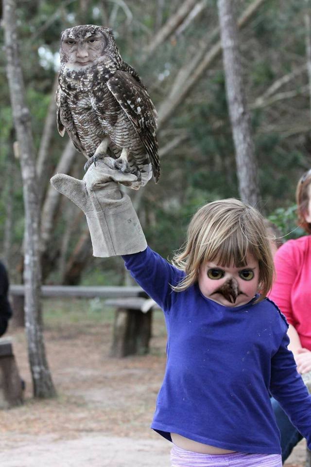 little girl with owl