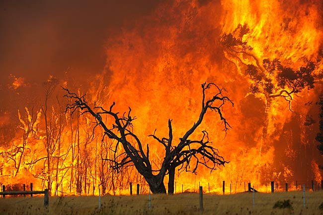 On Friday, January 13th, 1939, the now notorious Black Friday bushfires raged in Victoria, Australia. The flames conquered over 20,000 square kilometres of land, and tragically killed 71 people.