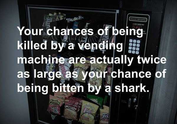 You just shake a shark to get a snack and see what happens!