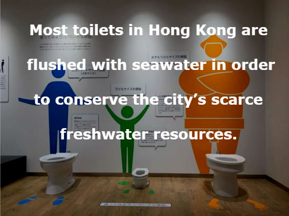japan toilets - Most toilets in Hong Kong are flushed with seawater in order to conserve the city's scarce freshwater resources.