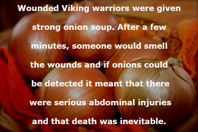 my sis - Wounded Viking warriors were given strong onion soup. After a few minutes, someone would smell the wounds and if onions could be detected it meant that there were serious abdominal injuries and that death was inevitable.