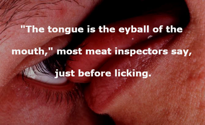 mortar and pestle - "The tongue is the eyball of the mouth," most meat inspectors say, just before licking.
