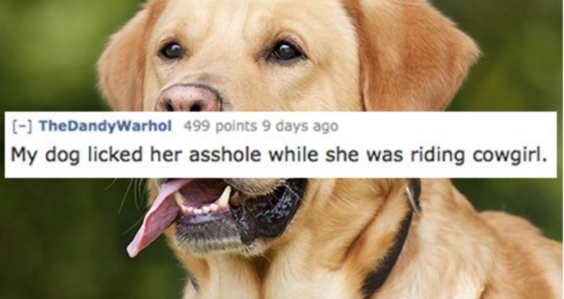 10 Hilarious Reasons Why People Had To Stop During Sex