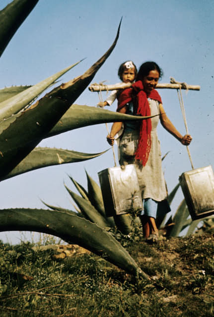 A woman carries supplies to make bread on her husbands farm somewhere in Mexico in the 1950s. The furnace is located in its own area, and as you can see, the woman is literally carrying her child on her back wrapped to her by only a thick scarf. This same family had no modern appliances, washed their clothes in a local stream, but would send their kids to school and trade in local towns. This is a common site in Mexico in some parts even to this day.