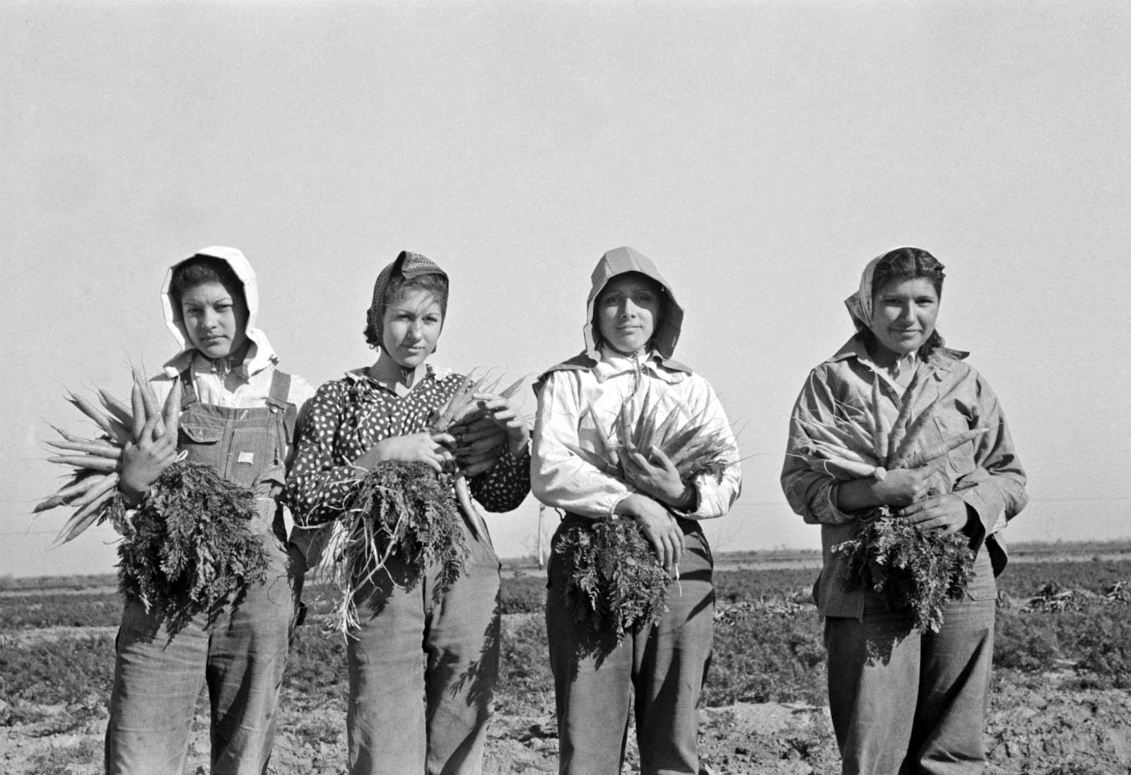 Mexican girls hired to pick fields in Texas, US in 1939. The labor would be cheaper, and Southern US farmers would sometimes pay to have them transported to the US to work. Some assume Mexicans have always just hopped illegally across the border looking for work, but long ago, they were paid to come over to work by rich farmers. Such a practice was a form of indentured servitude, and was common. Entire farms in the area during this time would be worked by Mexicans, and for poor wages, making rich farmers richer. This would all change of course with new laws, corporations taking over agriculture, and other major factors that shaped modern farming in the US today.