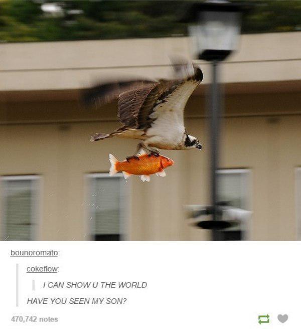 Incredible discoveries Tumblr users found with Disney movies