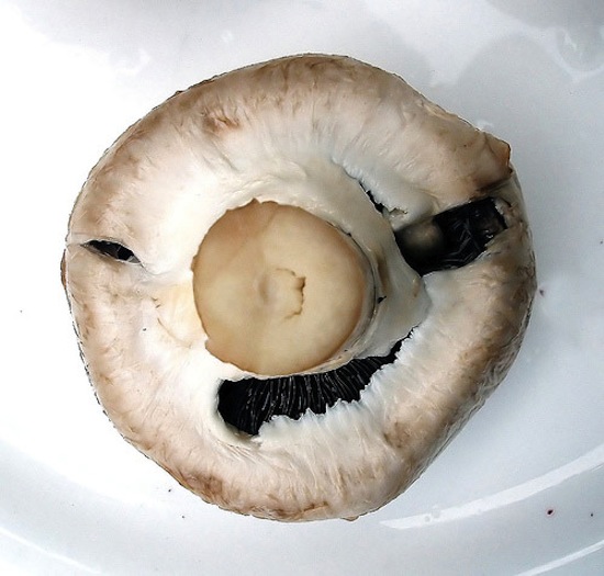 This mushroom looks like an angry old man.
