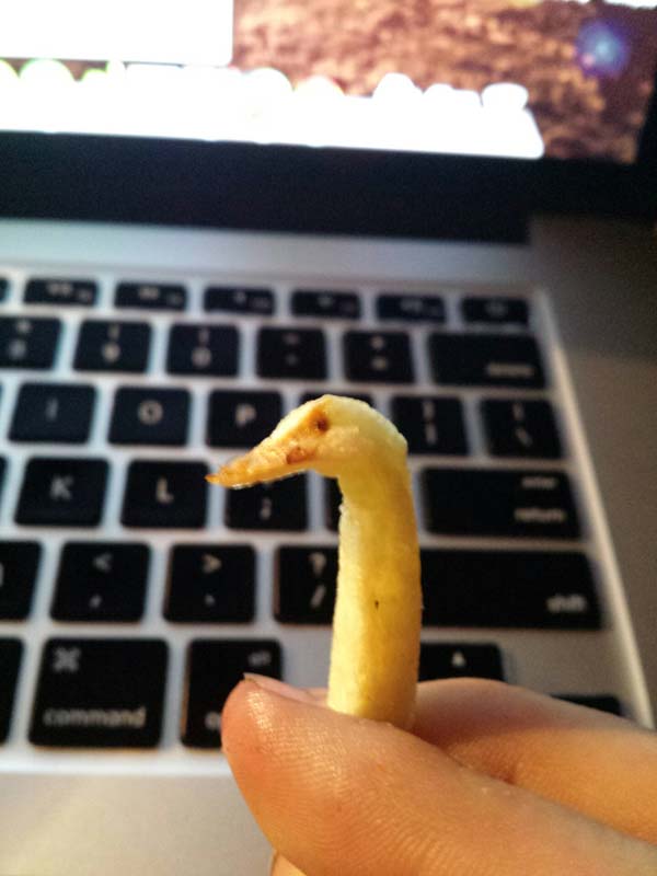 This french fry looks like a duck.